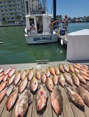 Fishing in Clearwater, Florida
