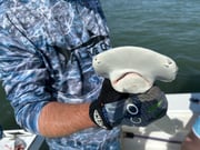 Fishing in Hilton Head Island, South Carolina