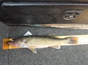 Fishing in Wisconsin Rapids, Wisconsin