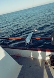 Fishing in San Diego, California