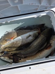 Fishing in Brunswick, Georgia