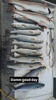 Fishing in Holmes Beach, Florida