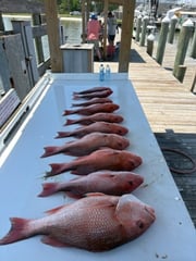Fishing in Gulf Shores, Alabama