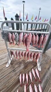 Fishing in Panama City, Florida
