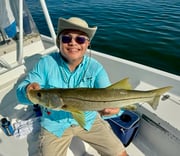 Fishing in St. Petersburg, Florida