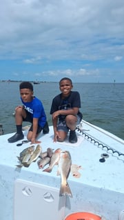 Fishing in Holmes Beach, Florida