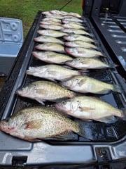 Fishing in Bee Branch, Arkansas