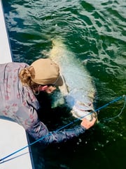 Fishing in Crawfordville, Florida