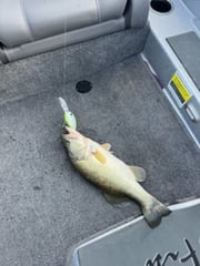 Fishing in Lufkin, Texas