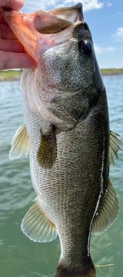 Fishing in Voss, Texas
