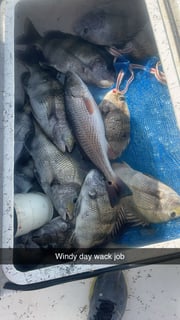 Fishing in Biloxi, Mississippi