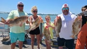 Fishing in Clearwater, Florida
