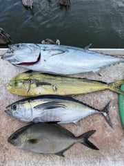 Fishing in Stuart, Florida
