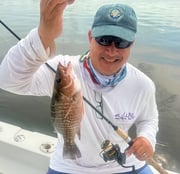 Fishing in St. Petersburg, Florida