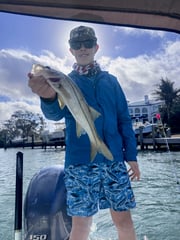 Fishing in Sarasota, Florida