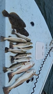 Fishing in Holmes Beach, Florida