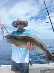 Fishing in Little Torch Key, Florida