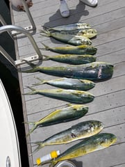 Fishing in Fort Lauderdale, Florida