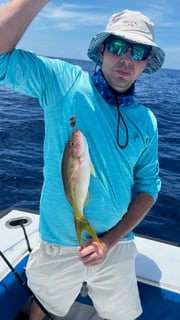 Fishing in Riviera Beach, Florida