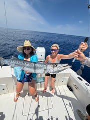 Fishing in Englewood, Florida
