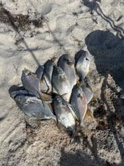 Fishing in Panama City Beach, Florida