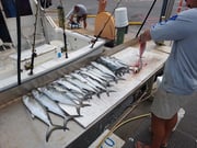 Fishing in Biloxi, Mississippi