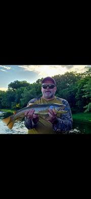 Fishing in Cotter, Arkansas