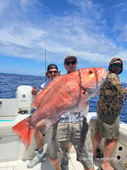 Fishing in St. Petersburg, Florida