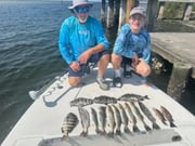 Fishing in Port Charlotte, Florida