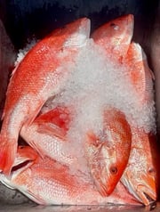 Fishing in Cape Canaveral, Florida