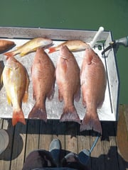 Fishing in Fort Pierce, Florida