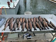 Fishing in Key West, Florida