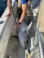 Fishing in Pensacola, Florida