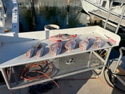 Fishing in Key West, Florida