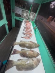 Fishing in Yankeetown, Florida