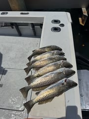 Fishing in Clearwater, Florida