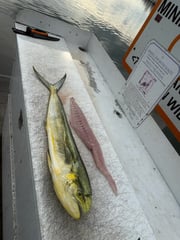 Fishing in Ruskin, Florida