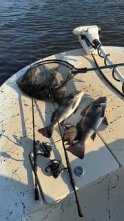 Fishing in Santa Rosa Beach, Florida