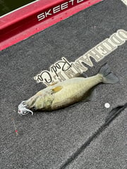 Fishing in Alba, Texas
