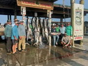 Fishing in Venice, Louisiana