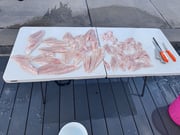 Red Grouper Fishing in