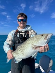 Fishing in Sarasota, Florida