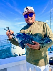 Fishing in Morehead City, North Carolina