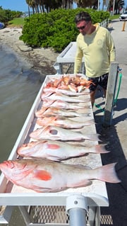 Fishing in Clearwater, Florida