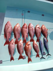 Fishing in Destin, Florida
