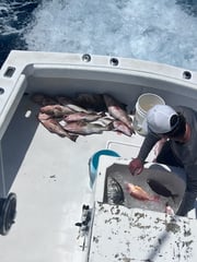 Fishing in Clearwater, Florida