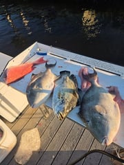 Fishing in Clearwater, Florida