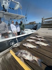Fishing in Wanchese, North Carolina