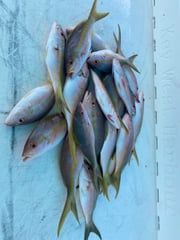 Fishing in Key West, Florida