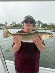 Fishing in Orange Beach, Alabama